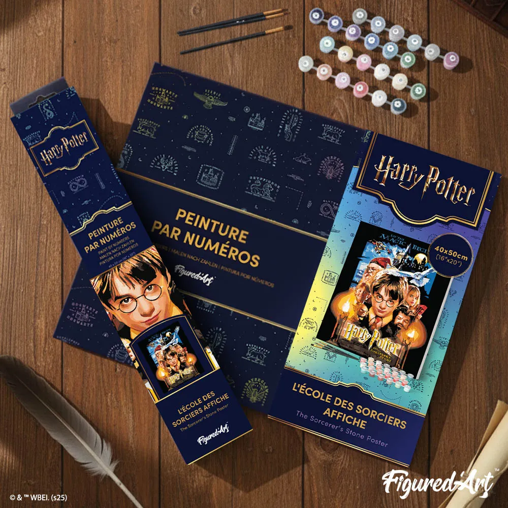 Figured'Art Harry Potter en de Steen der Wijzen Poster schilderen op nummer 40x50 zonder lijst