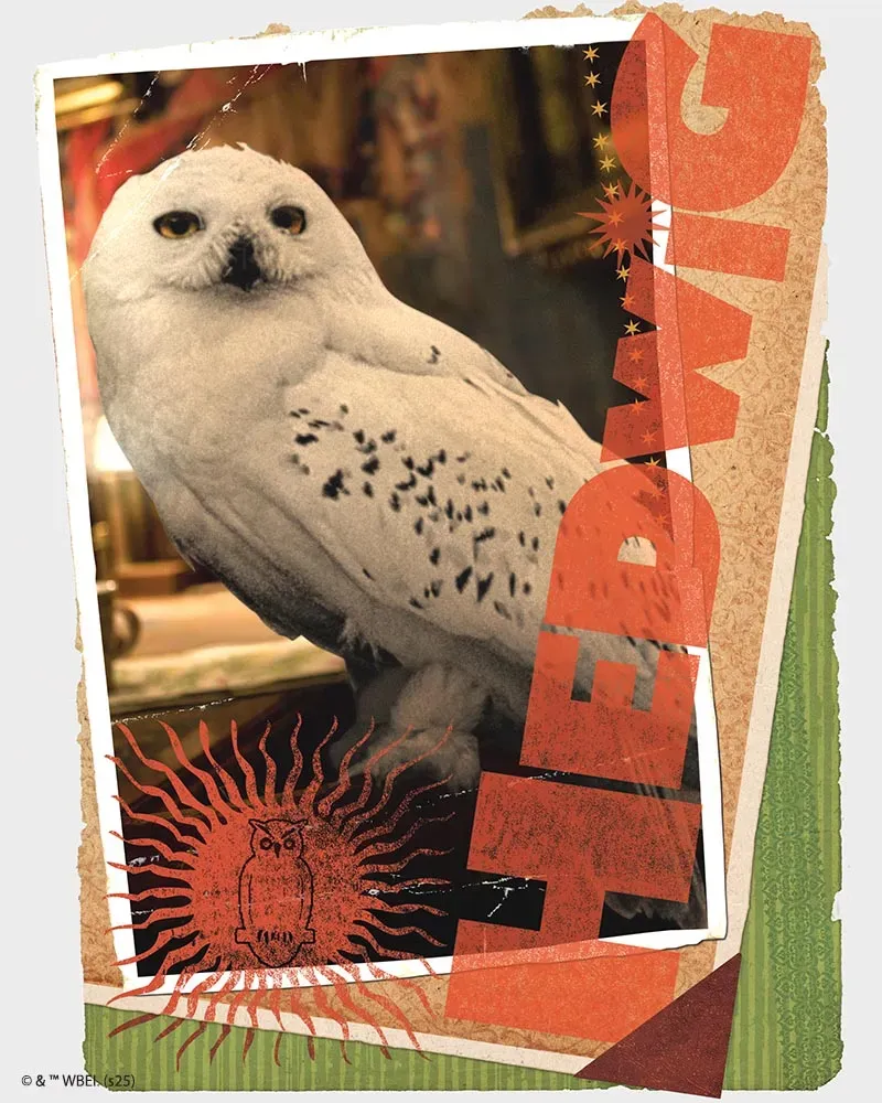 Figured'Art Hedwig Harry Potter Diamond Painting 40x50 Ingelijst