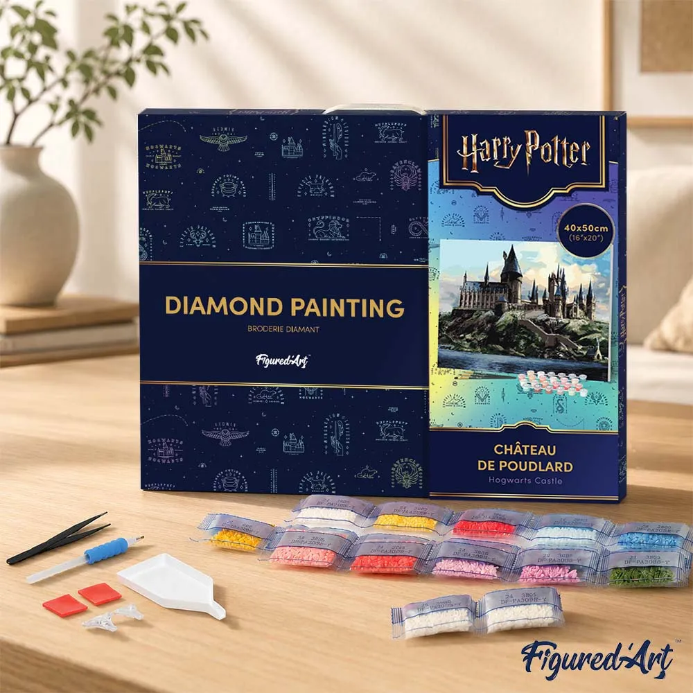 Figured'Art Hogwarts-kasteel Harry Potter diamond painting 40x50cm