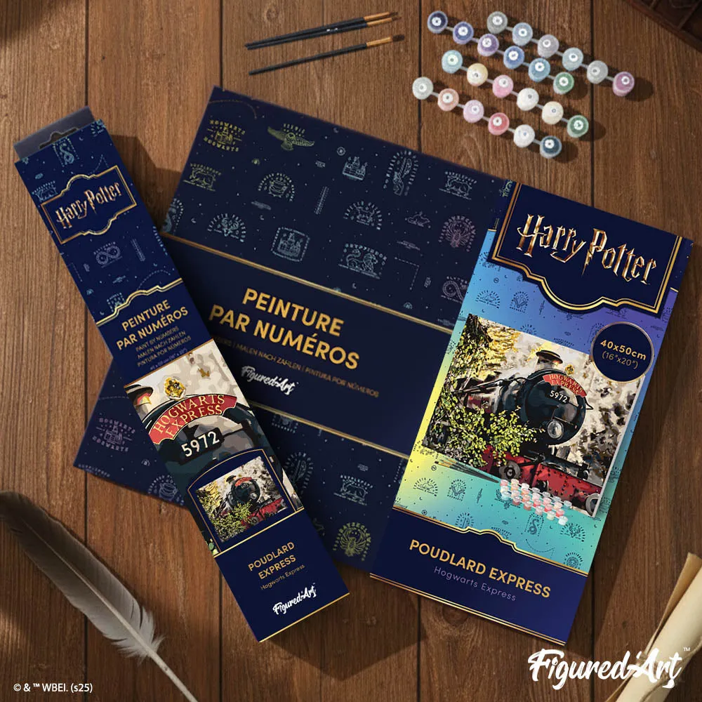 Figured'Art Harry Potter Hogwarts Express schilderen op nummer 40x50 cm