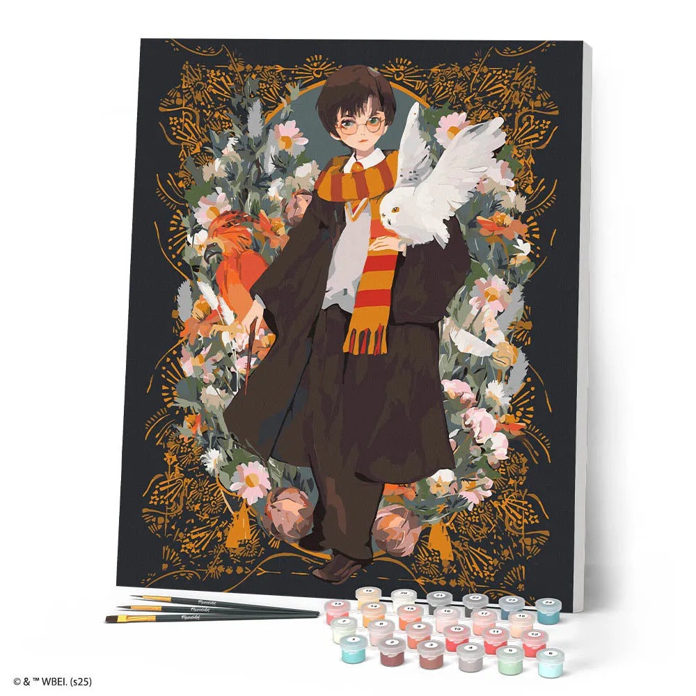 Figured'Art Harry Potter Yume schilderen op nummer 40x50cm gevorderd