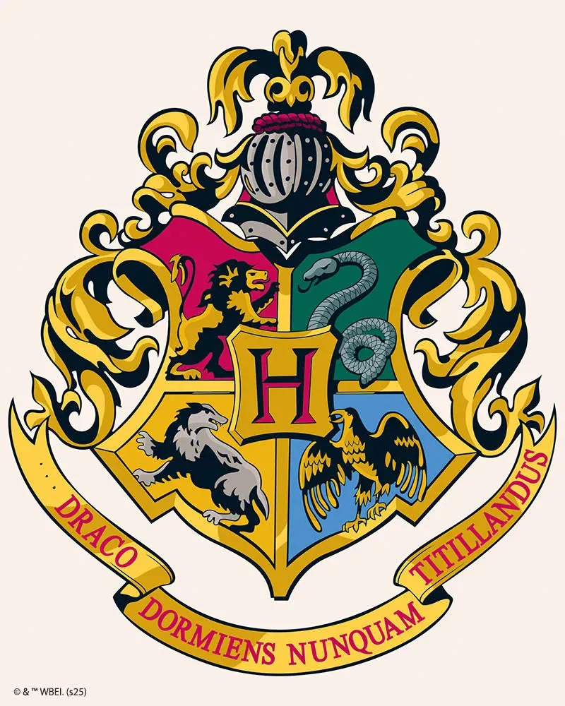 Figured'Art Harry Potter Hogwarts diamond painting 40x50