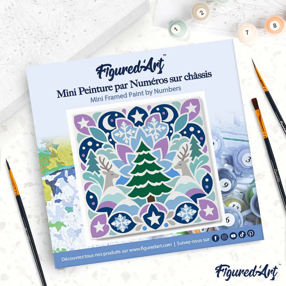 Figured'Art Mini Schilderen op Nummer Kerstmandala schilderij 20x20 cm ingelijst eenvoudig