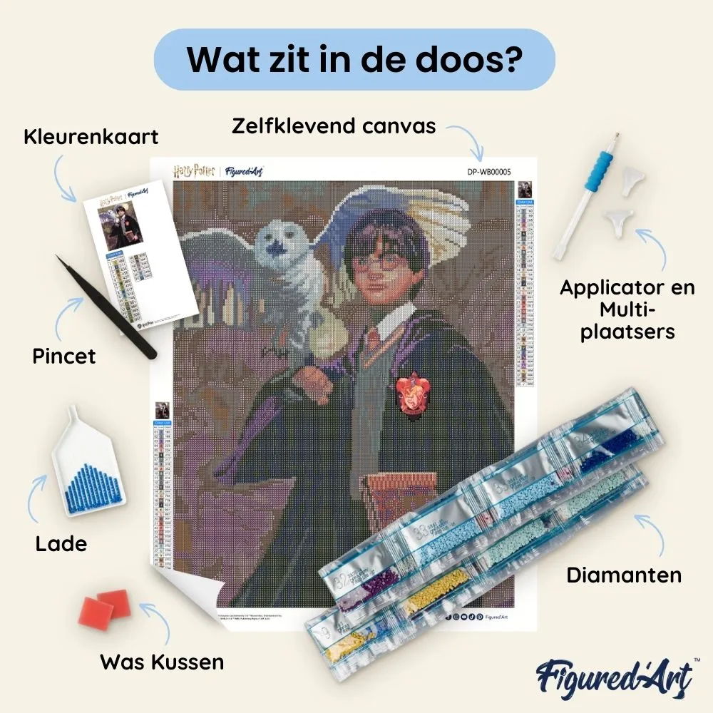Figured'Art Harry Potter en Hedwig Diamond Painting 40x50 cm