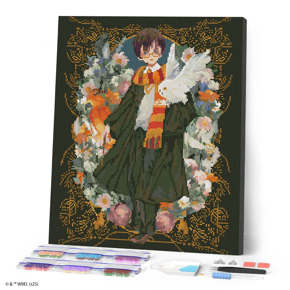 Figured'Art Harry Potter Yume diamond painting 40x50 cm full drill