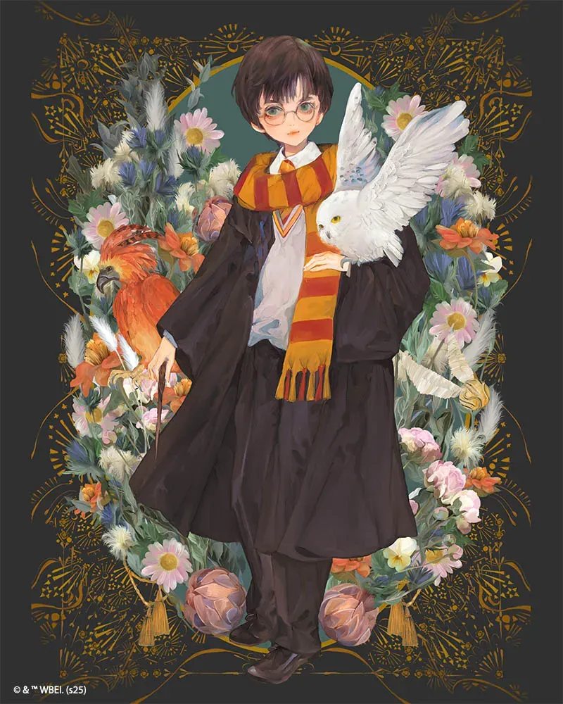Figured'Art Harry Potter Yume diamond painting 40x50 cm full drill