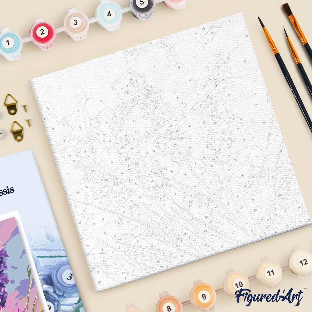 Figured'Art Lavendel mini schilderen op nummer 20x20cm met frame