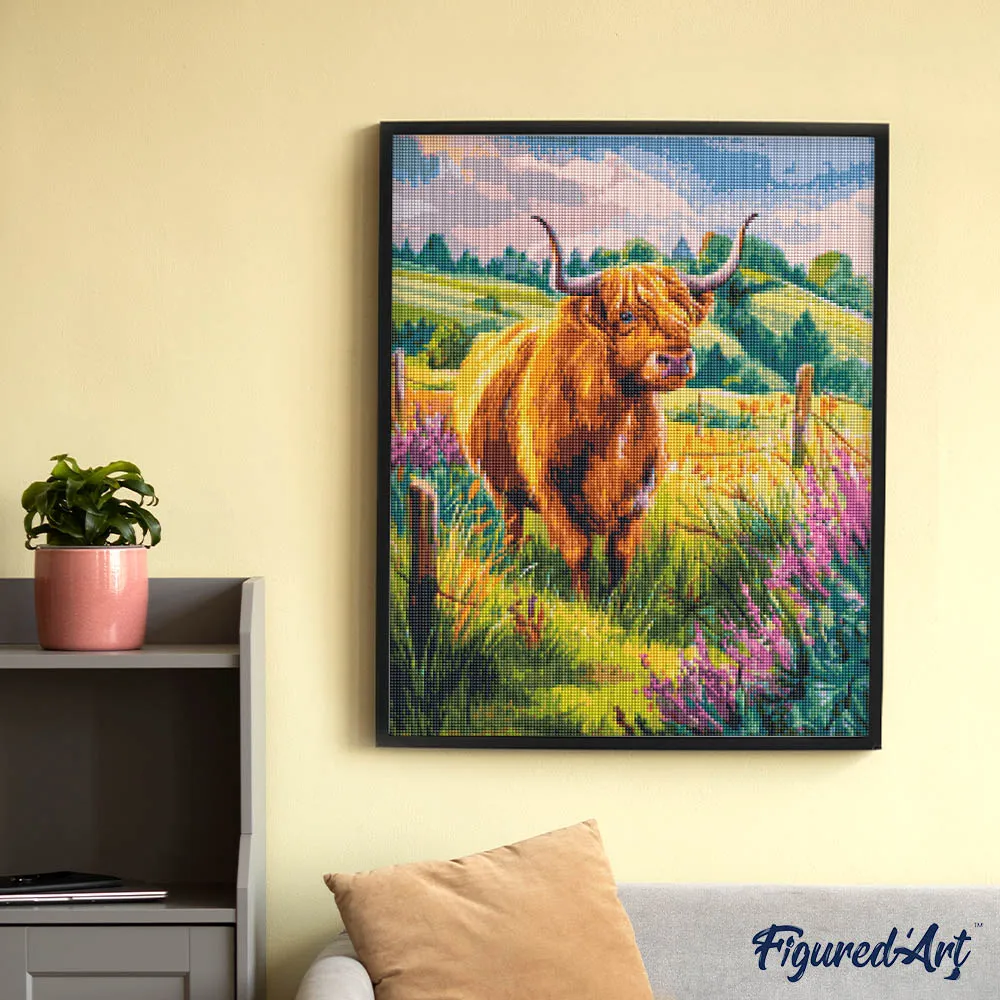 Figured'Art Diamond Painting Schotse Hooglander 40x50 cm vierkant