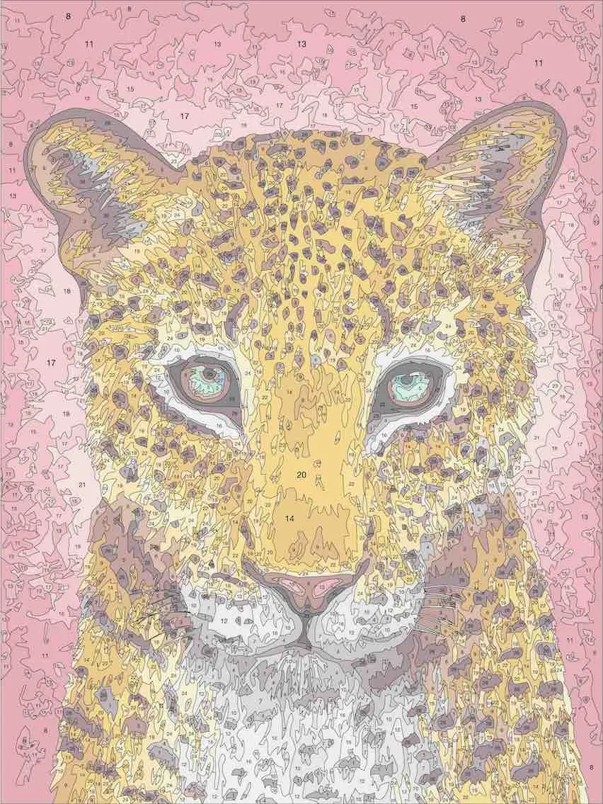 Craft Buddy Rise Rachel Froud schilderen op nummer 30x40cm