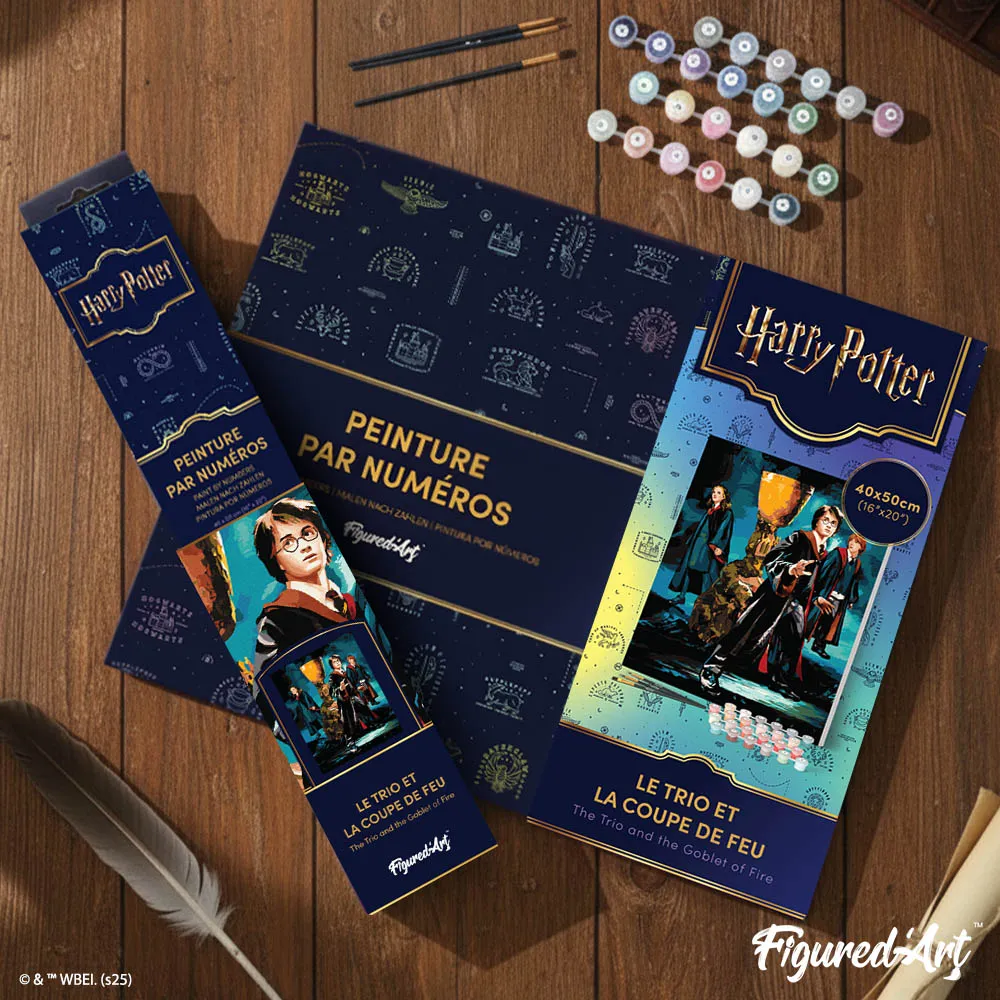 Figured'Art Harry Potter schilderen op nummer Het Trio Vuurbeker 40x50cm