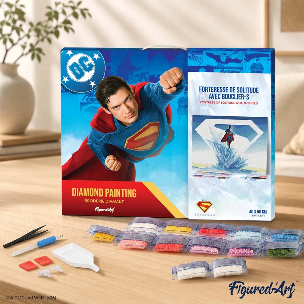 Figured'Art Superman Fort van Eenzaamheid diamond painting 40x50cm ingelijst