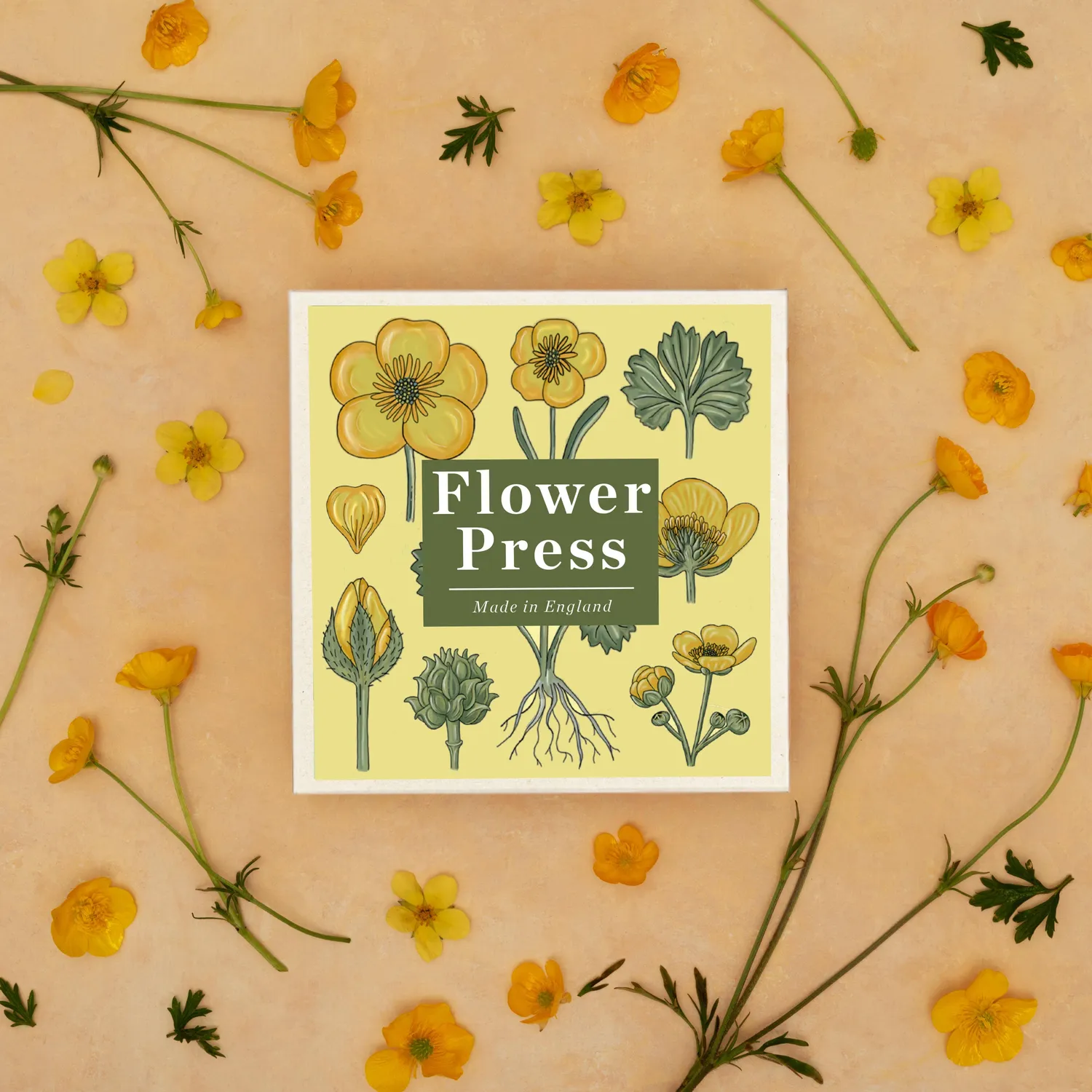 Studio Wald Vintage Buttercup bloemenpers hout 15x15 cm