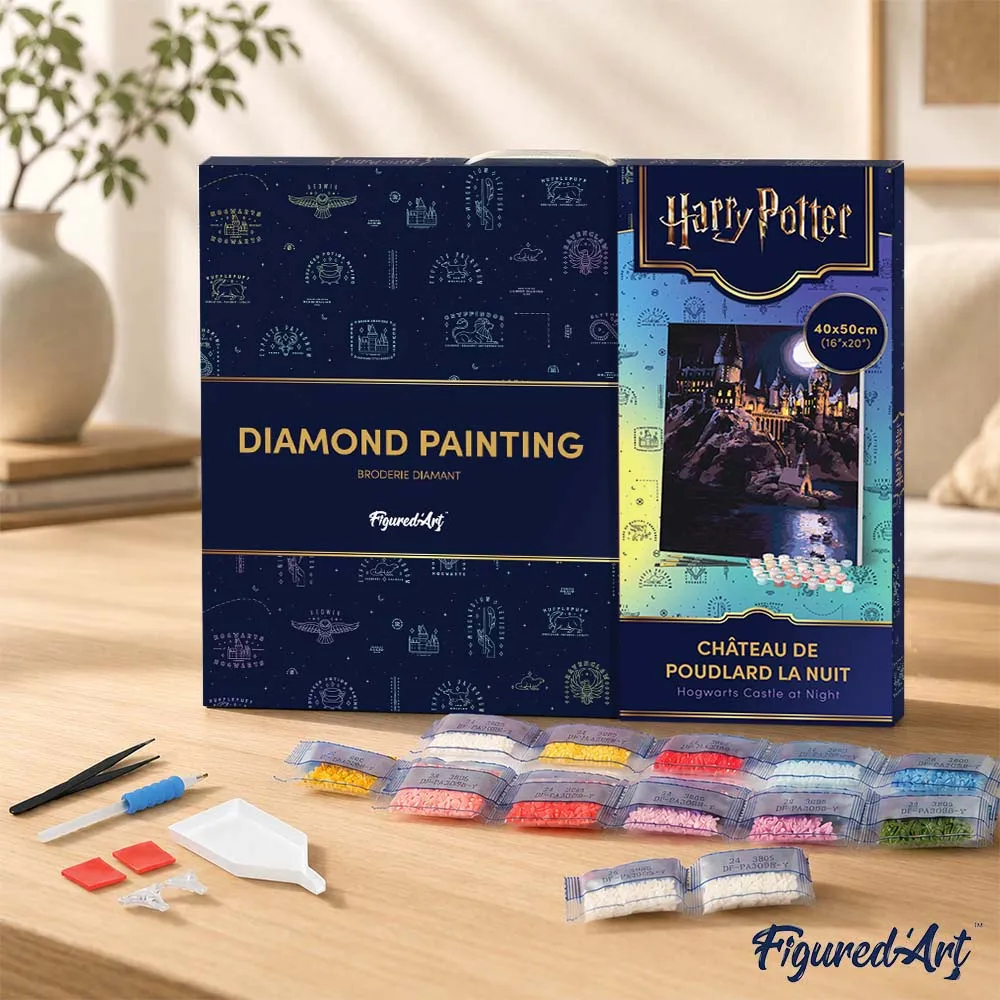 Figured'Art Hogwarts Kasteel diamond painting 40x50cm ingelijst nacht
