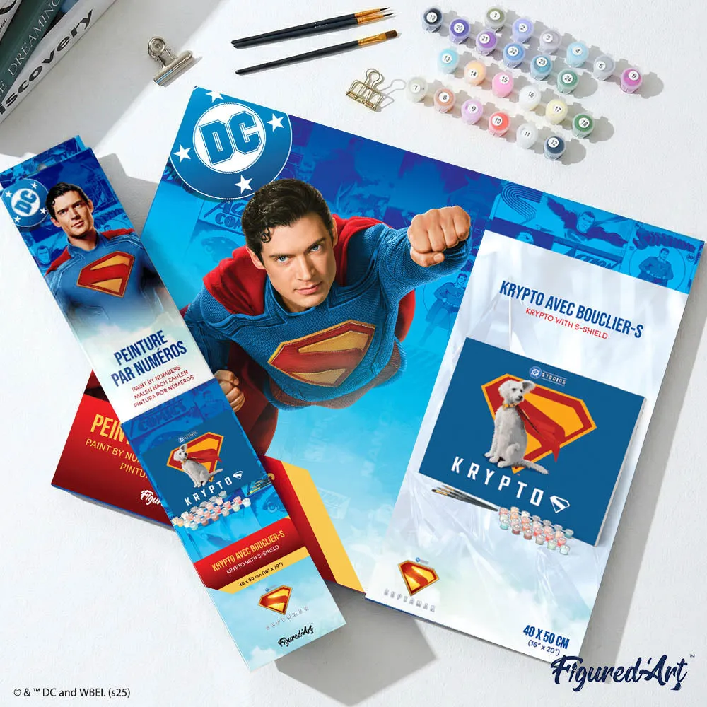 Figured'Art Superman Krypto met S-schild schilderen op nummer 40x50 cm