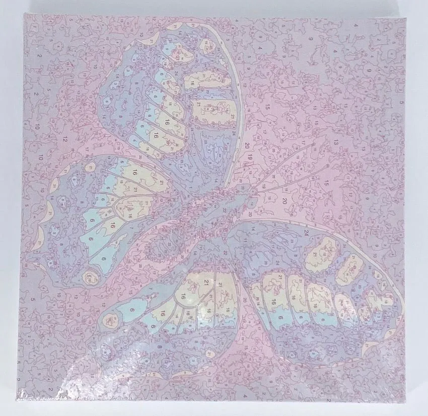 Craft Buddy Paint by Numbers Change Rachel Froud canvas 30x30cm
