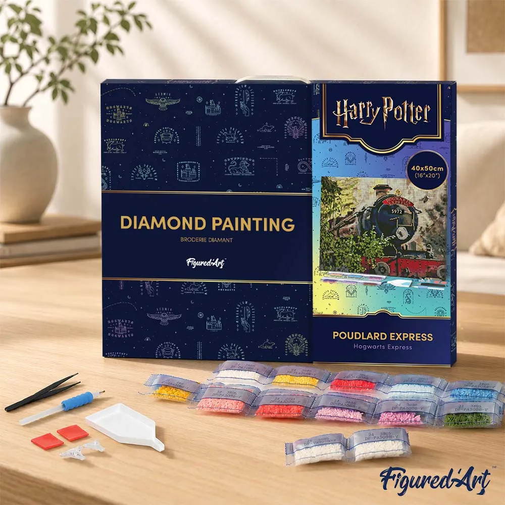 Figured'Art Hogwarts Express diamond painting 40x50cm ingelijst