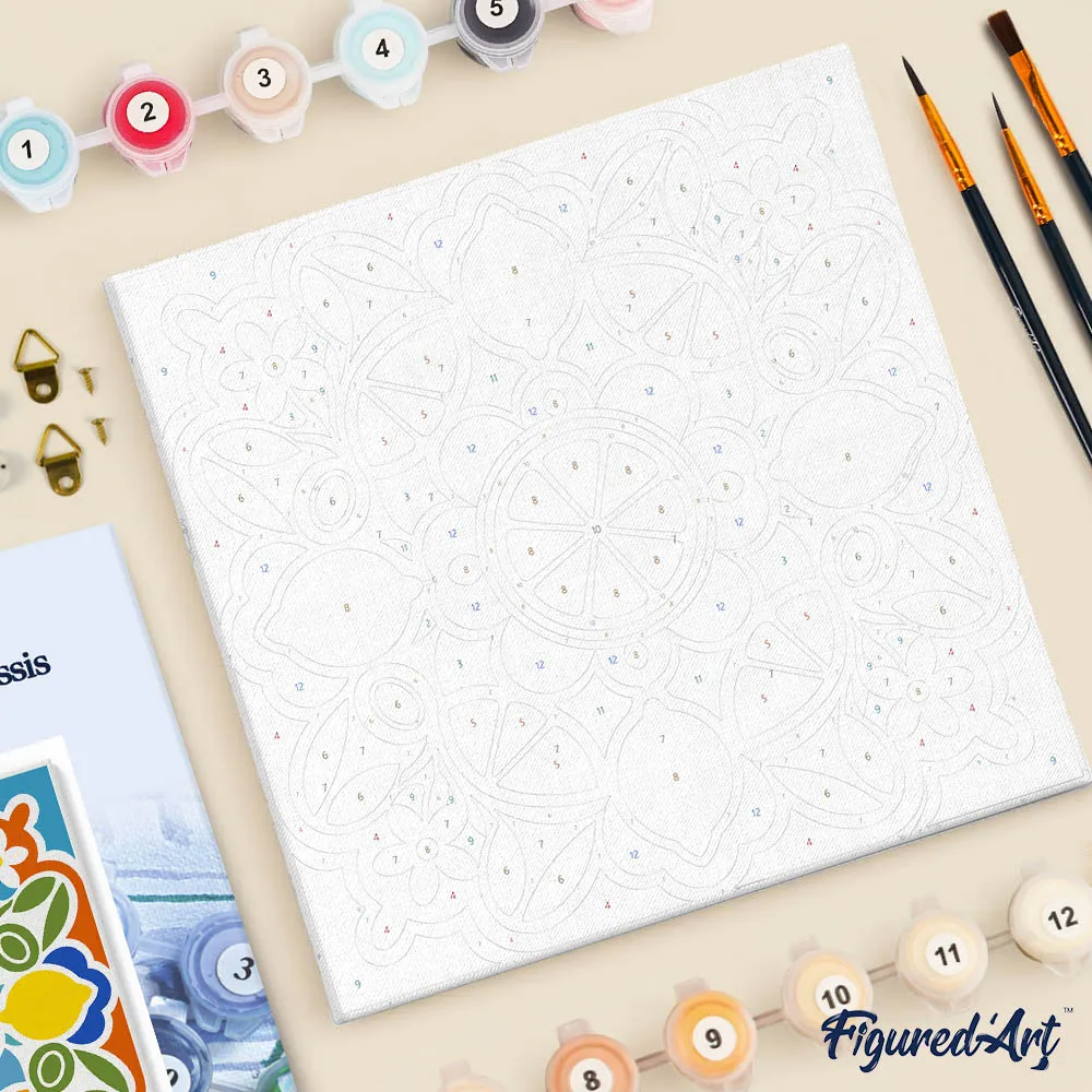 Figured'Art Citrusmandala mini schilderen op nummer 20x20cm frame