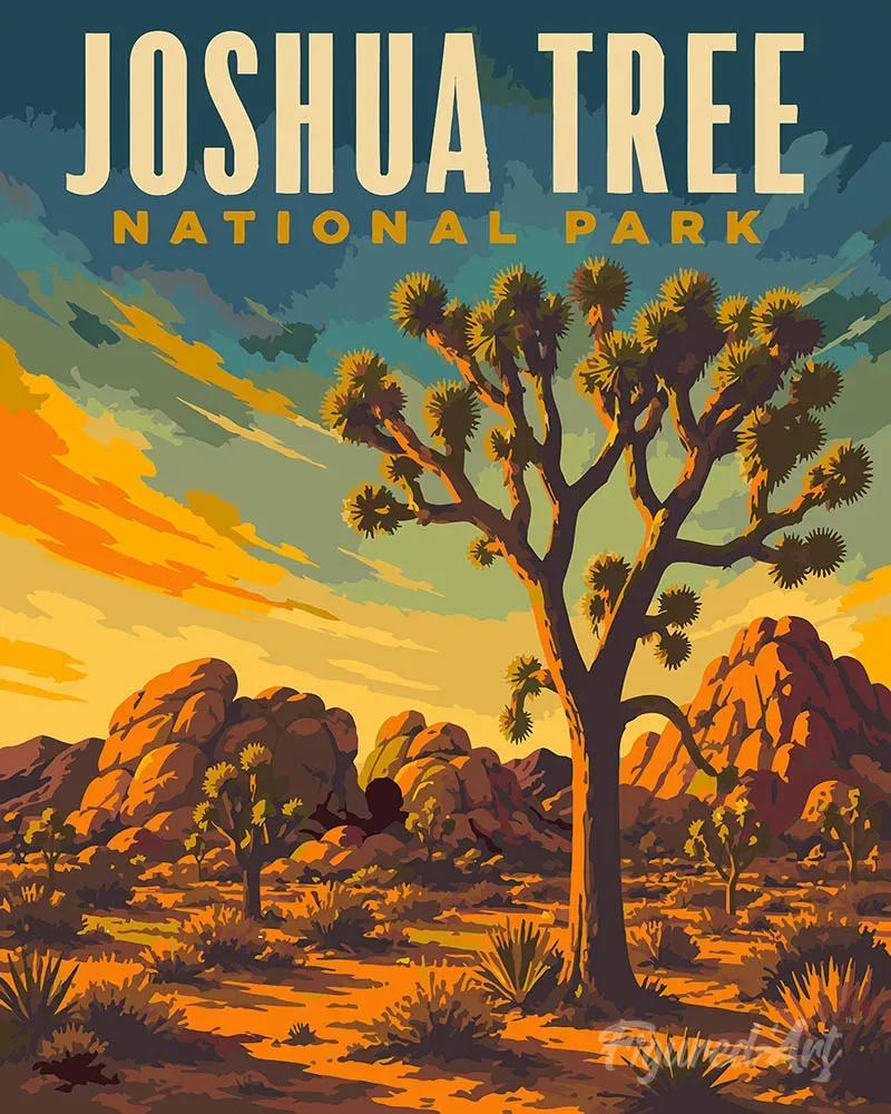 Figured'Art Joshua Tree National Park schilderen op nummer 40x50 cm