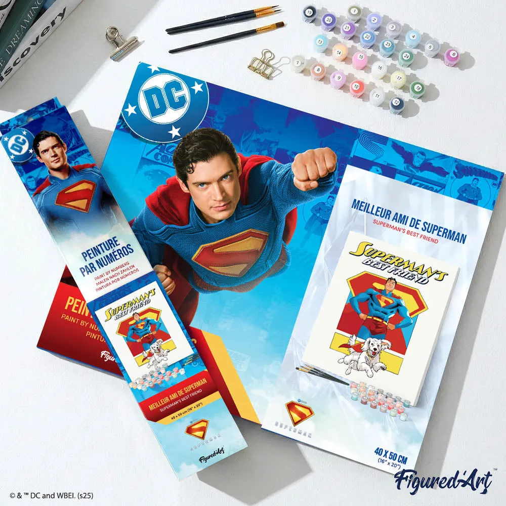 Figured'Art Supermans beste vriend schilderen op nummer 40x50