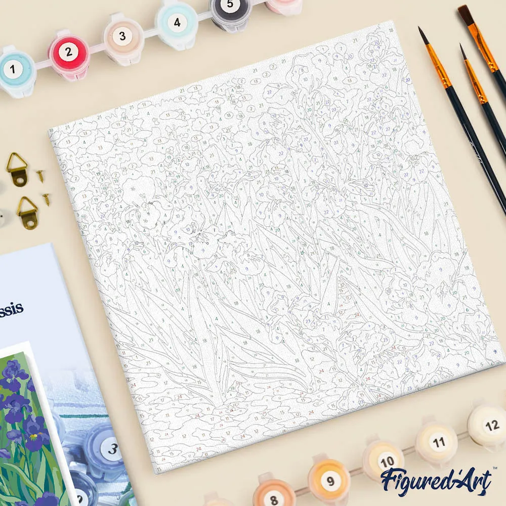 Figured'Art Van Gogh Iris schilderen op nummer 20x20cm met frame