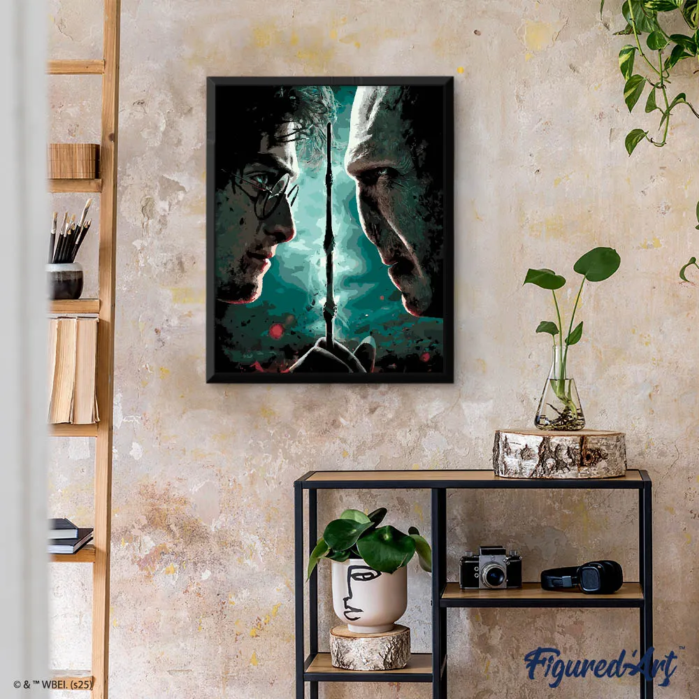 Figured'Art Harry Potter tegen Lord Voldemort schilderen op nummer 40x50 cm gevorderd