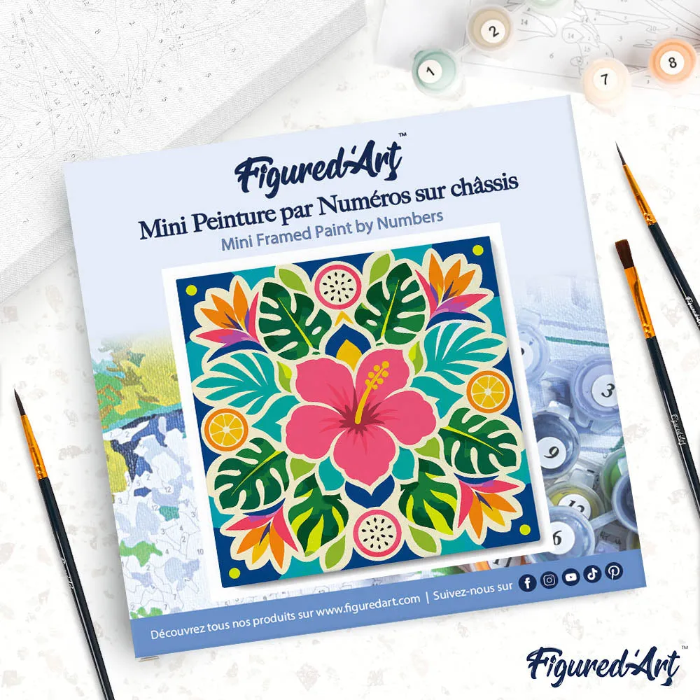 Figured'Art Hibiscusmandala mini schilderen op nummer met frame