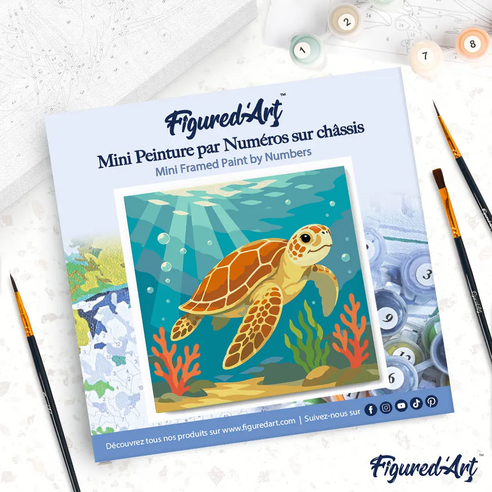 Figured'Art Mini Schildpad schilderen op nummer 20x20cm met frame