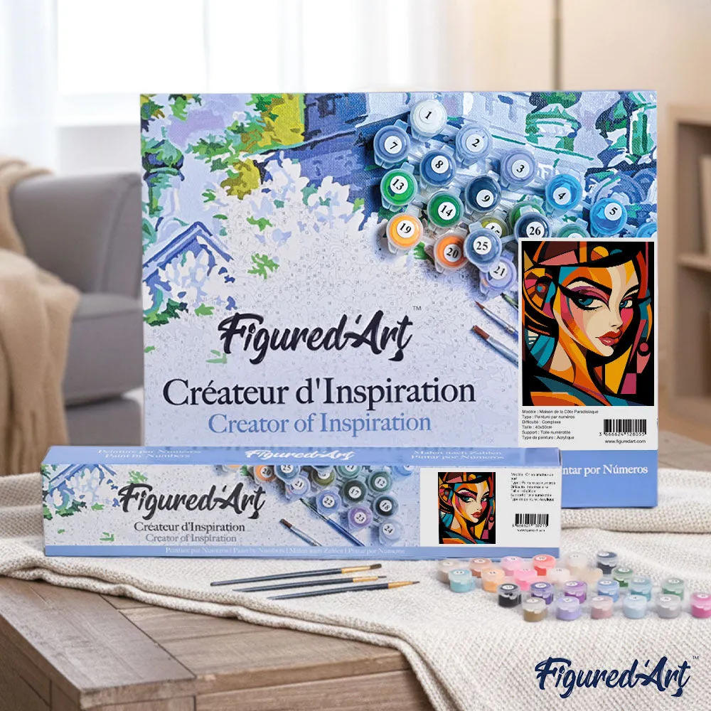 Figured'Art Gedurfd Abstract Glamour Gezicht schilderen op nummer 40x50 cm eenvoudig