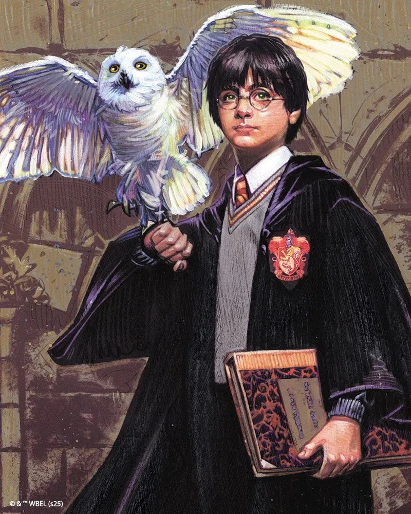 Figured'Art Harry Potter en Hedwig diamond painting 40x50 ingelijst