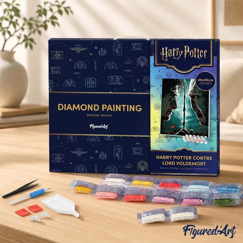 Figured'Art Harry Potter tegen Lord Voldemort diamond painting 40x50cm