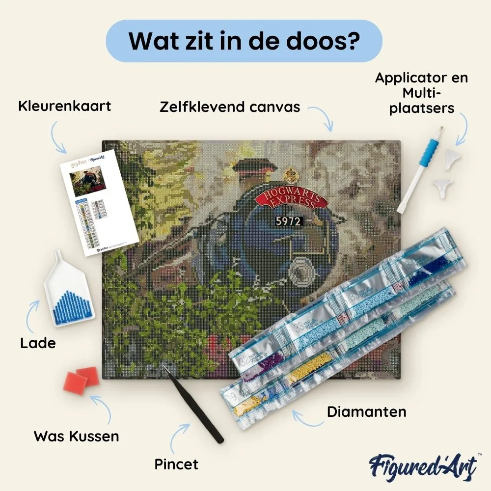 Figured'Art Hogwarts Express diamond painting 40x50cm ingelijst