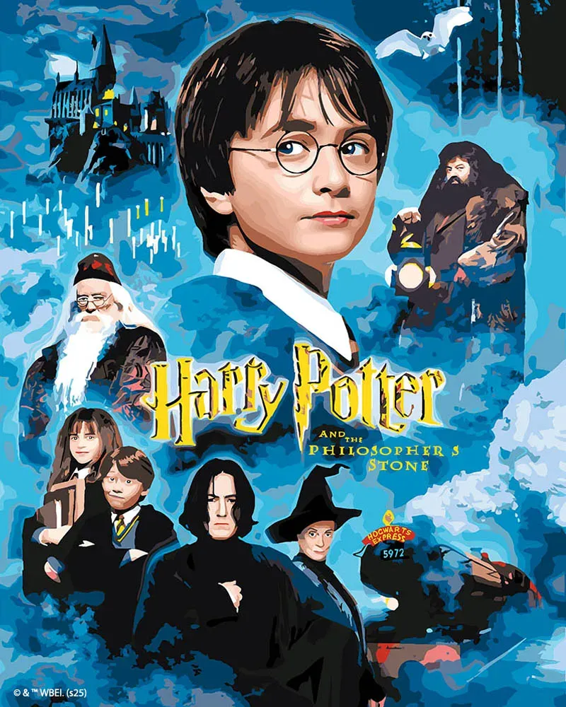 Figured'Art Harry Potter Steen der Wijzen schilderij 40x50cm
