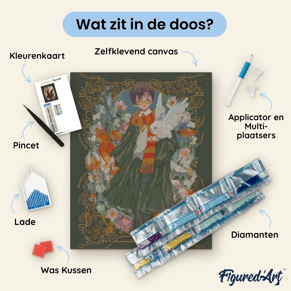 Figured'Art Harry Potter Yume diamond painting 40x50cm ingelijst