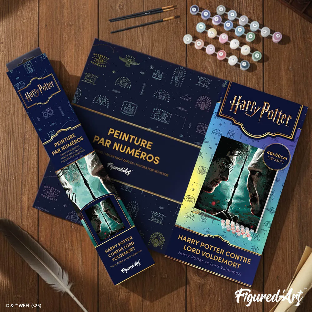 Figured'Art Harry Potter tegen Lord Voldemort schilderen op nummer 40x50 cm gevorderd