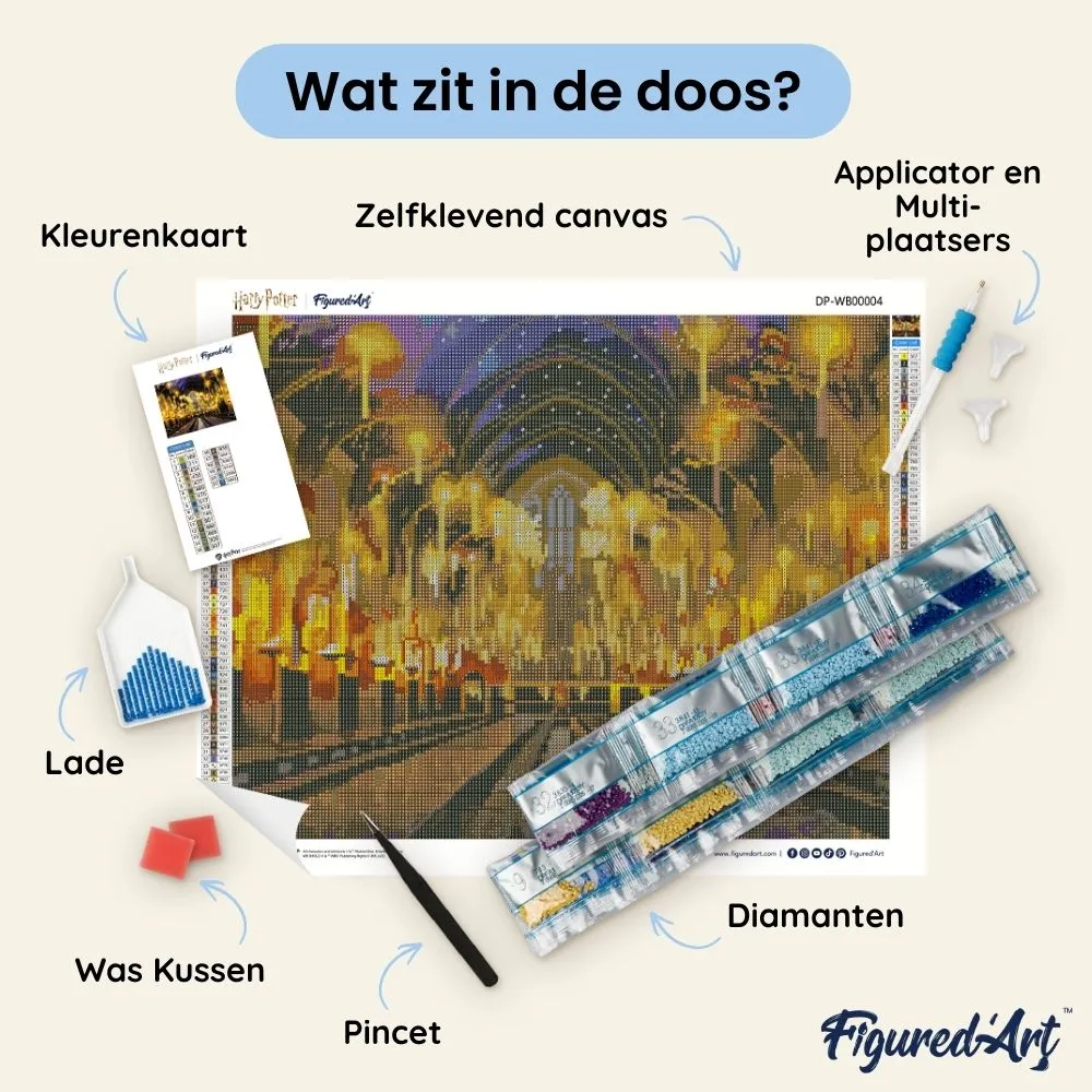 Figured'Art Harry Potter Grote Zaal diamond painting 40x50cm