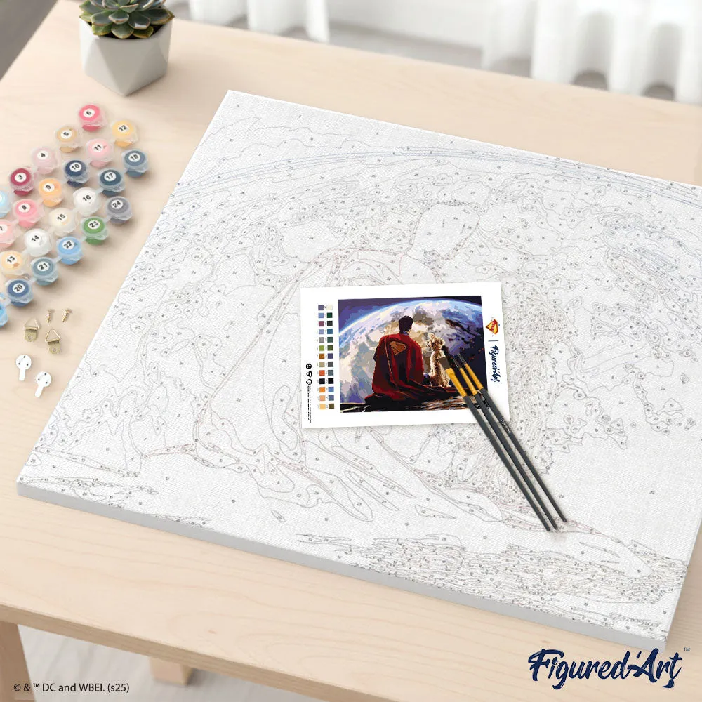 Figured'Art Superman en Krypto schilderen op nummer 40x50cm DC collector box