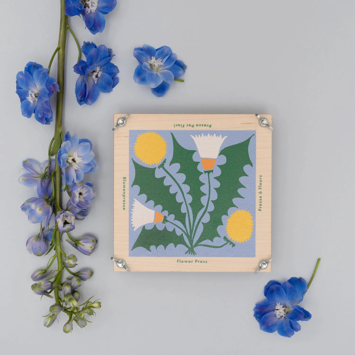 Studio Wald Dandelion bloemenpers 15x15 cm