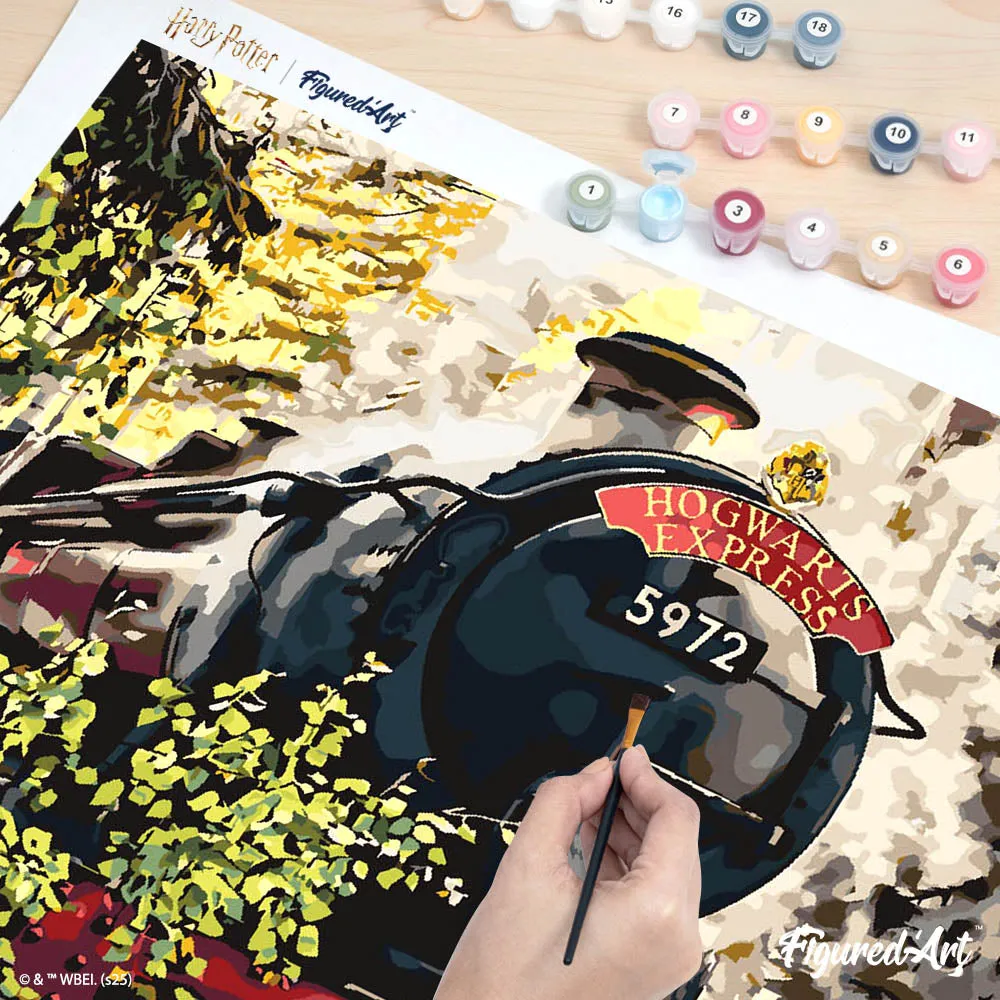 Figured'Art Harry Potter Hogwarts Express schilderen op nummer 40x50 cm