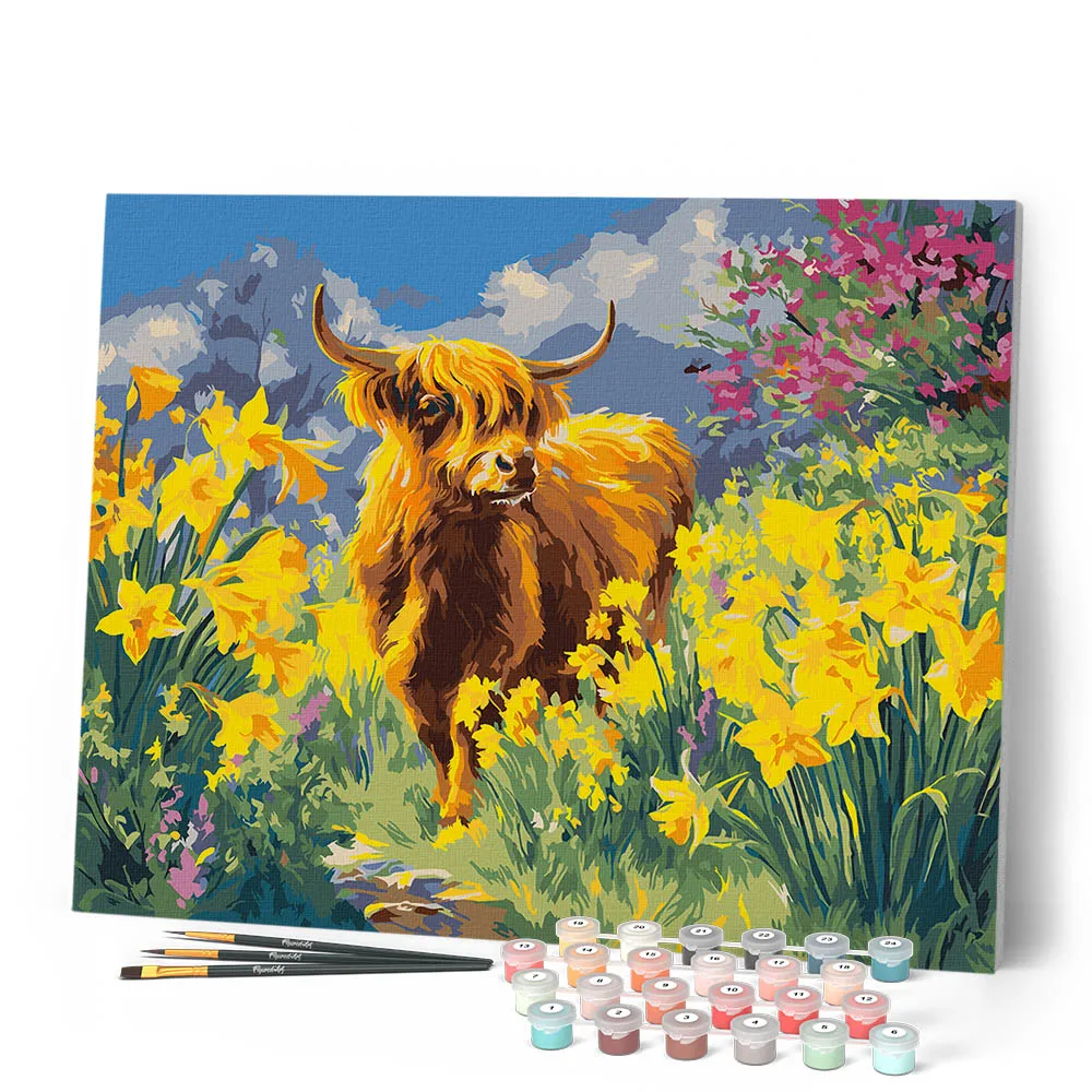 Figured'Art Schotse Hooglander met Narcissen schilderen 40x50 cm