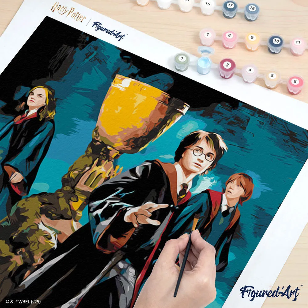 Figured'Art Harry Potter schilderen op nummer Het Trio Vuurbeker 40x50cm