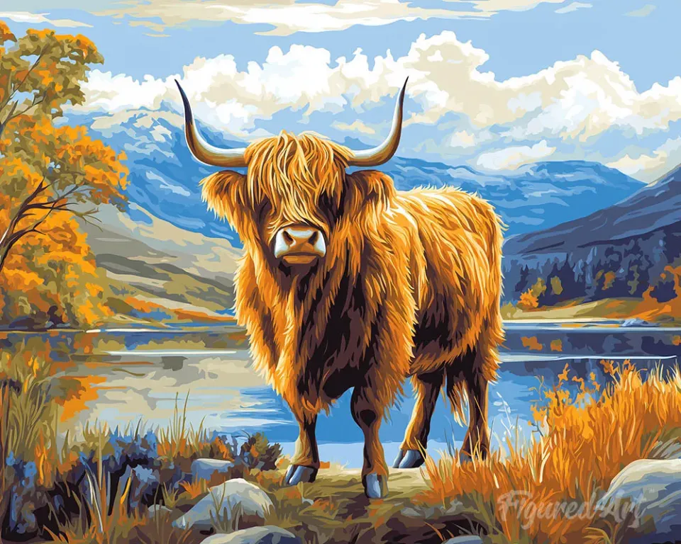 Figured'Art Schotse Hooglander aan de gouden oever diamond painting 40x50 cm