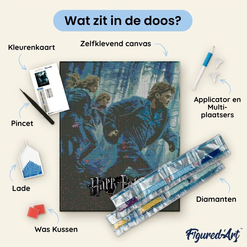 Figured'Art Diamond Painting Harry Potter Relieken 40x50 ingelijst
