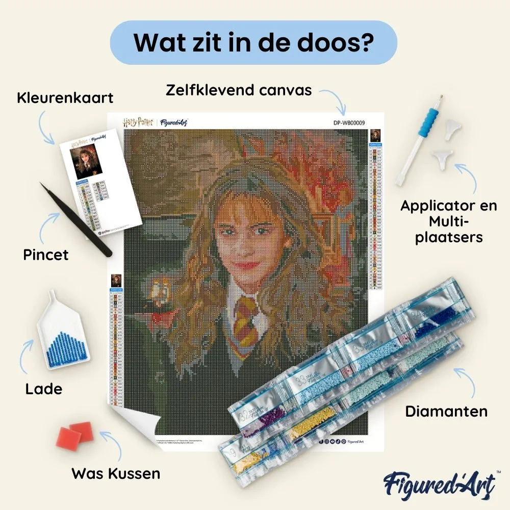 Figured'Art Harry Potter Hermione Granger diamond painting 40x50 cm