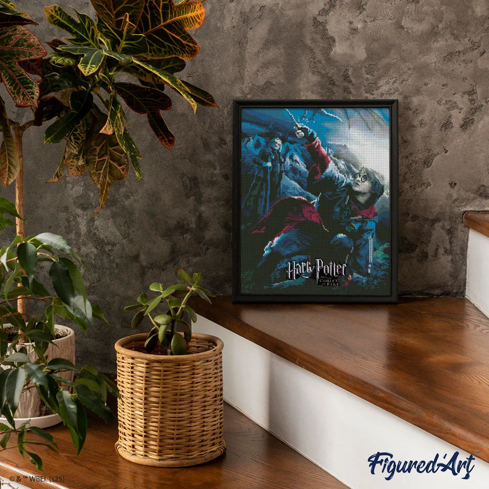 Figured'Art Harry Potter Vuurbeker Diamond Painting Film