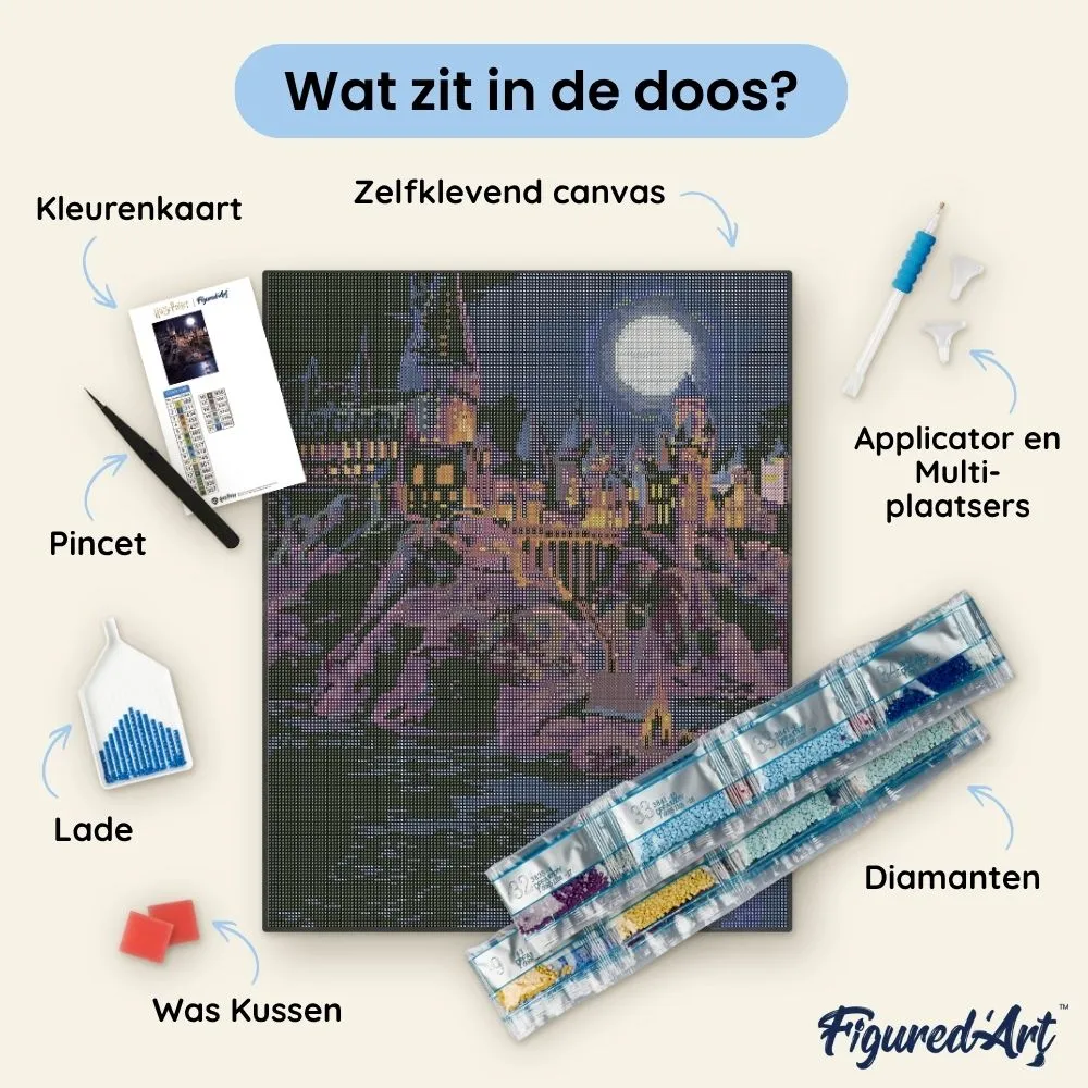 Figured'Art Hogwarts Kasteel diamond painting 40x50cm ingelijst nacht