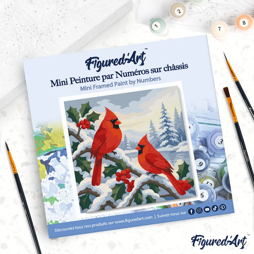 Figured'Art Winterkardinalen mini schilderen op nummer met frame