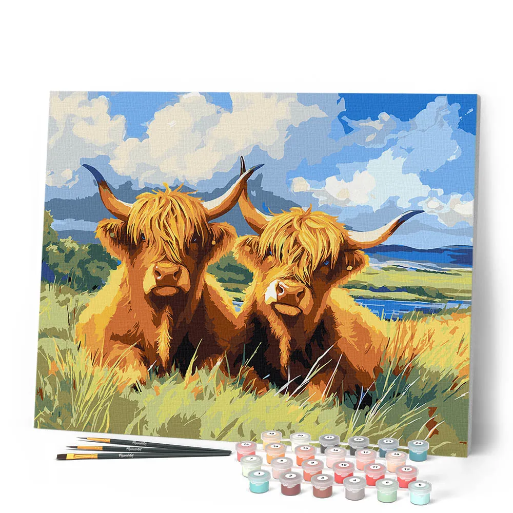 Figured'Art Schotse Hooglander in het Gouden Veld schilderen op nummer 40x50cm
