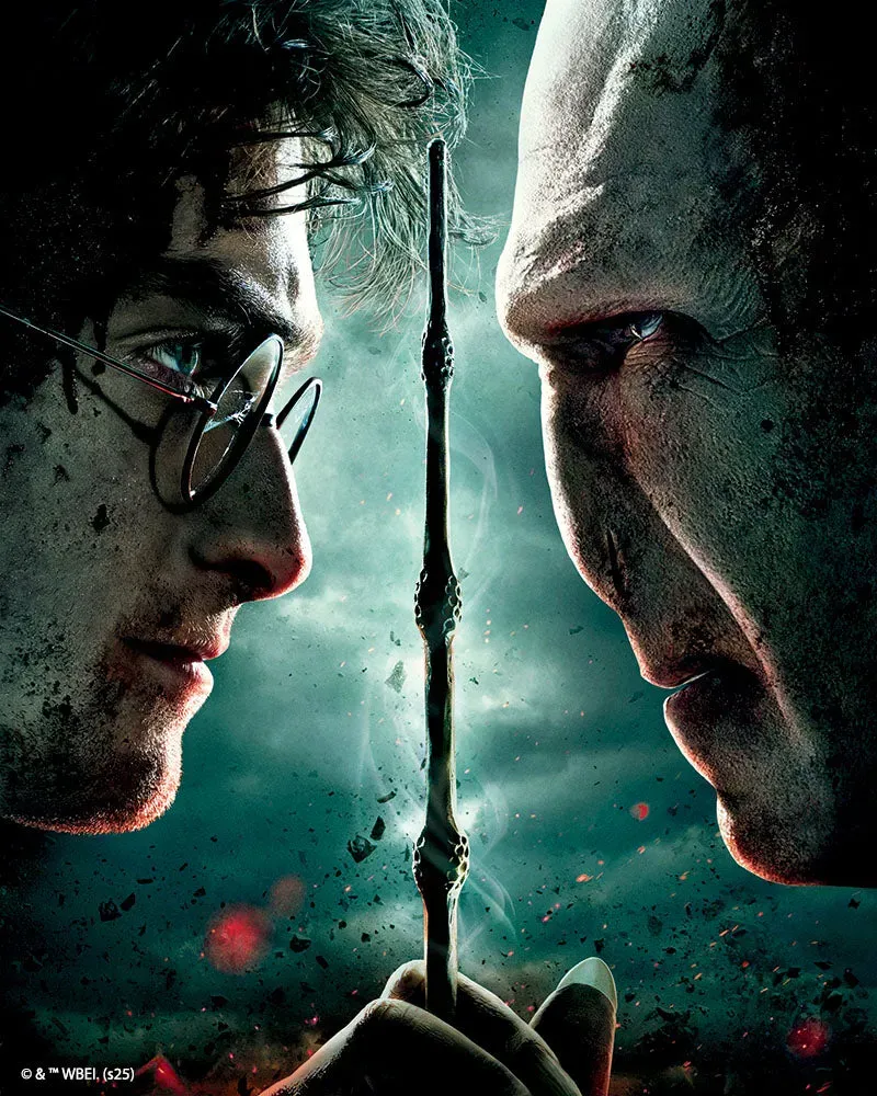 Figured'Art Harry Potter tegen Voldemort diamond painting 40x50cm