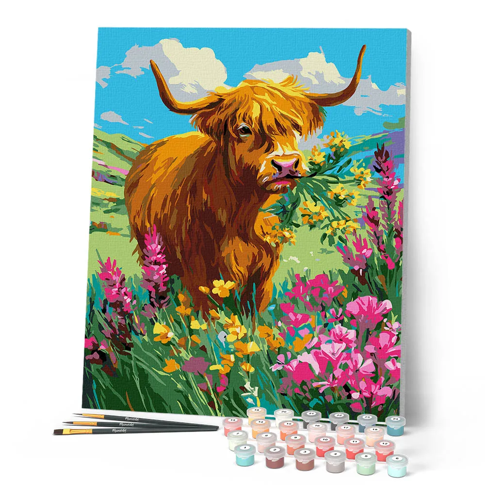 Figured'Art Schotse Hooglander schilderen op nummer 40x50 cm