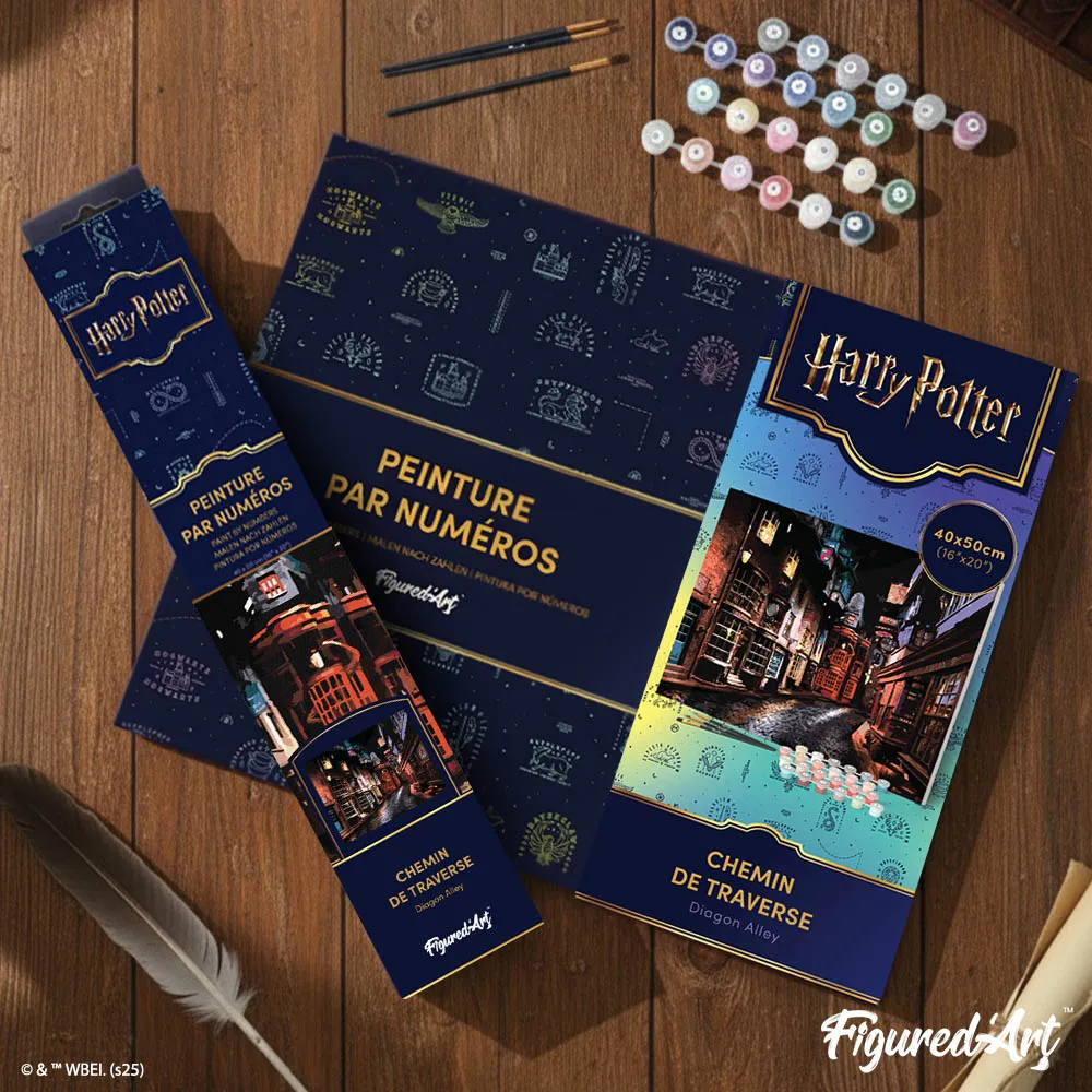 Figured'Art Harry Potter Diagon Alley schilderen op nummer 40x50cm